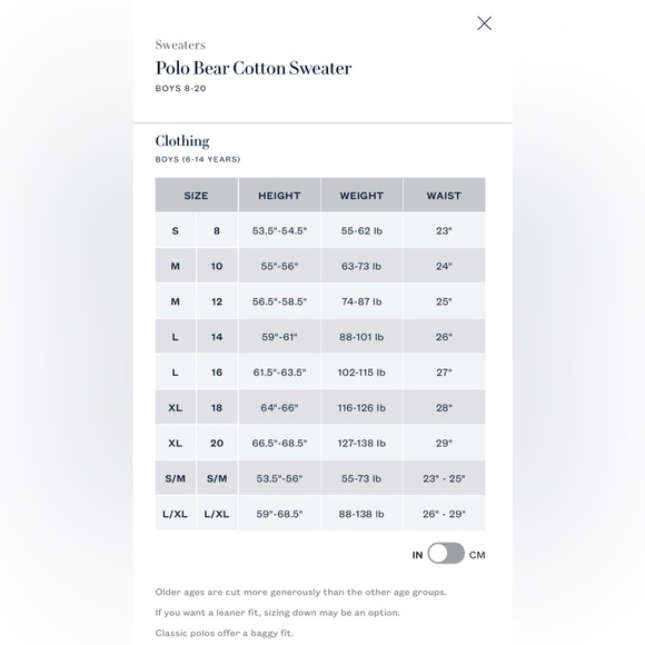 Polo Bear Sweater - Picture 7 of 7